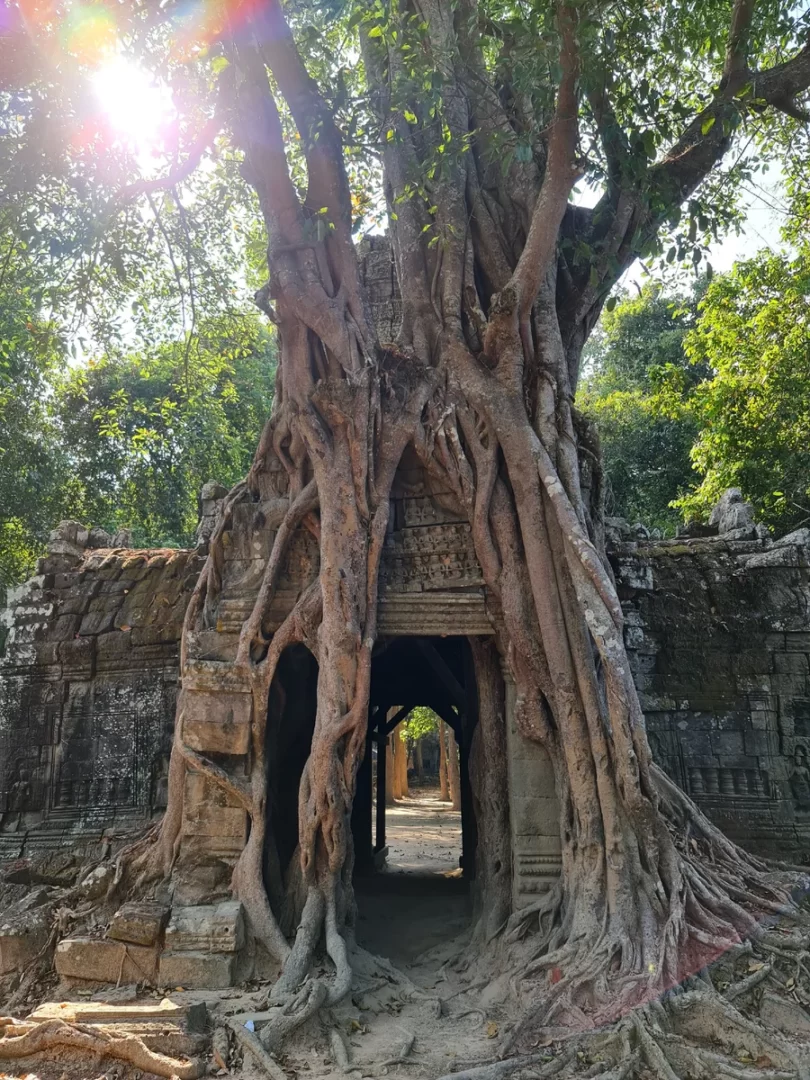 Храм Та Сом. Ангкор