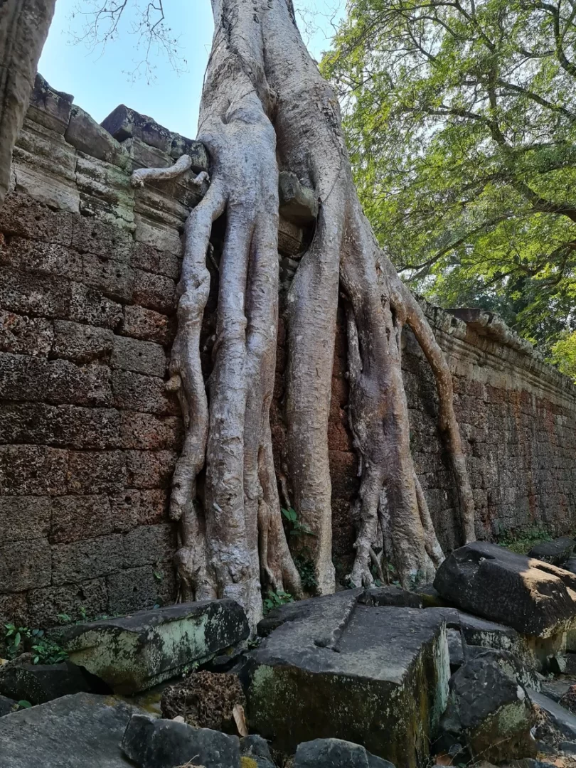 Храм Преа Хан. Ангкор